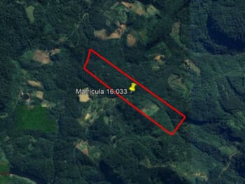 Area Rural em leilão em Itaiópolis - SC, bairro Itaió — Leilão extrajudicial de Área Rural em Itaiópolis/SC - Itaió