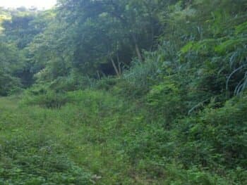 Terreno em leilão em Rio De Janeiro - RJ, bairro Jacarepaguá — Leilão extrajudicial de Terreno em Rio de Janeiro/RJ - Freguesia Jacarepaguá
