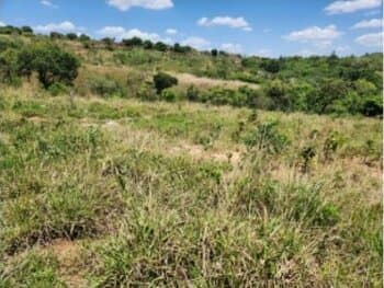 Terreno em leilão em Águas Lindas De Goiás - GO, bairro Jardim da Barragem VI — Leilão extrajudicial de Terreno em Águas Lindas de Goiás/GO - Parque da Barragem Setor 08