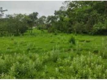 Terreno em leilão em Cidade Ocidental - GO, bairro Chácaras Saia Velha — Leilão extrajudicial de Terreno em Cidade Ocidental/GO - Chácaras Saia Velha