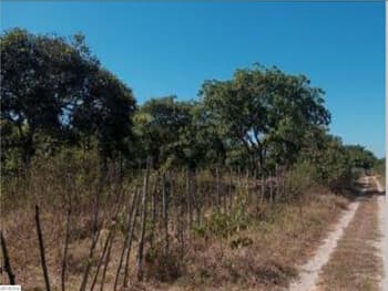 Terreno em leilão em Pacajus - CE, bairro Curimatã — Leilão extrajudicial de Terreno em Pacajus/CE - Curimatã