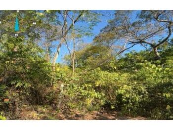 Terreno em leilão em Cuiabá - MT, bairro São Gonçalo Beira Rio — Leilão judicial de Terreno em Cuiabá/MT - São Gonçalo Beira Rio