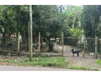 Casa em leilão em Guaíba - RS, bairro Alegria — Leilão extrajudicial de Casa em Guaíba/RS - Alegria