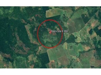 Area Rural em leilão em Conceição Do Araguaia - PA — Leilão extrajudicial de Área Rural em Conceição do Araguaia/PA - Zona Rural