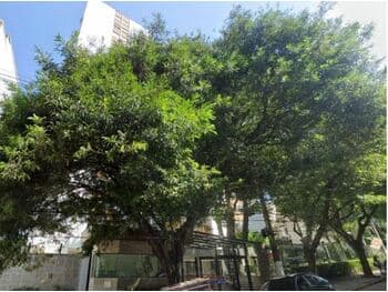 Apartamento em leilão em São Paulo - SP, bairro Perdizes — Leilão judicial de Apartamento em São Paulo/SP - Perdizes