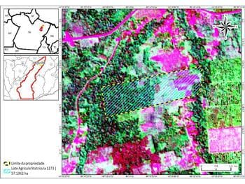 Area Rural em leilão em Moju - PA — Leilão extrajudicial de Área Rural em Moju/PA - Zona Rural