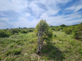 Terreno em leilão em Aracaju - SE, bairro Santa Maria — Leilão extrajudicial de Terreno em Aracaju/SE - Santa Maria