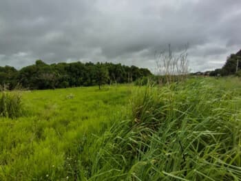Area Rural em leilão em Mineiros - GO — Leilão extrajudicial de Área Rural em Mineiros/GO - Gleba 1