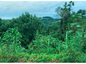 Terreno em leilão em Joaçaba - SC, bairro Flor da Serra — Leilão extrajudicial de Terreno em Joaçaba/SC - Flor da Serra
