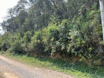 Terreno em leilão em Mairiporã - SP, bairro Pirucaia — Leilão judicial de Terreno em Mairiporã/SP - Pirucaia