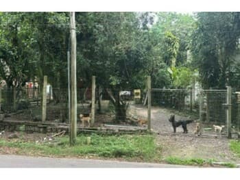 Casa em leilão em Guaíba - RS, bairro Alegria — Leilão extrajudicial de Casa em Guaíba/RS - Alegria