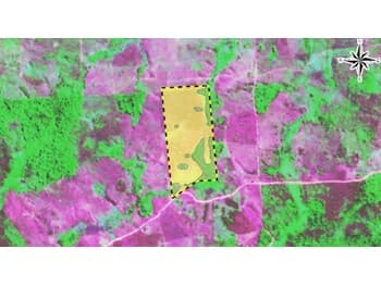 Area Rural em leilão em Novo Repartimento - PA — Leilão extrajudicial de Área Rural em Novo Repartimento/PA - Zona Rural
