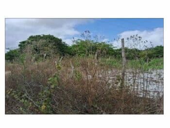 Terreno em leilão em Pacajus - CE, bairro Curimatã — Leilão extrajudicial de Terreno em Pacajus/CE - Curimatã