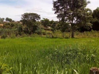 Terreno em leilão em Jaraguá - GO, bairro São Sebastião — Leilão extrajudicial de Terreno em Jaraguá/GO - São Sebastião