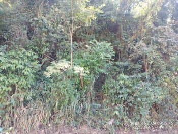 Terreno em leilão em Pinheiral - RJ, bairro Vale do Sol — Leilão extrajudicial de Terreno em Pinheiral/RJ - Vale do Sol