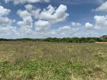 Terreno em leilão em Cabo De Santo Agostinho - PE, bairro Ponte dos Carvalhos — Leilão extrajudicial de Terreno em Cabo de Santo Agostinho/PE - Ponte dos Carvalhos