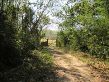 Area Rural em leilão em Nazaré Paulista - SP, bairro Quatro Cantos — Leilão judicial de Gleba com benfeitorias em Nazaré Paulista/SP - Quatro Cantos