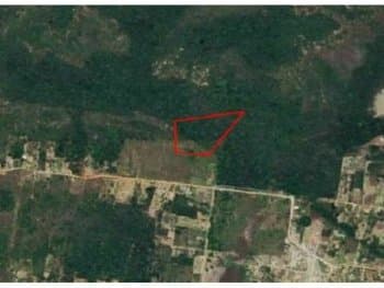 Area Rural em leilão em Entre Rios - BA — Leilão extrajudicial de Área Rural em Entre Rios/BA - Distrito Subaúma