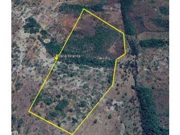 Area Rural em leilão em Sítio Novo - MA — Leilão extrajudicial de Área Rural em Sítio Novo/MA - Zona Rural