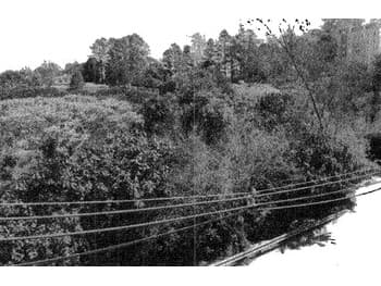 Terreno em leilão em Cotia - SP — Leilão judicial de Terreno em Cotia/SP - Área Rural