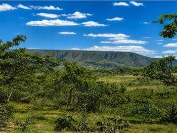 Area Rural em leilão em Planaltina - GO, bairro Canjica — Leilão judicial de Área Rural em Planaltina/GO - Canjica