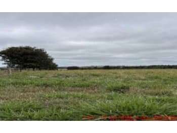 Area Rural em leilão em São José Do Rio Claro - MT — Leilão extrajudicial de Área Rural em São José do Rio Claro/MT - Expansão Urbana