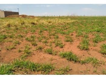 Terreno em leilão em Orlândia - SP, bairro Jardim Timboré — Leilão extrajudicial de Terreno em Orlândia/SP - Jardim Timboré