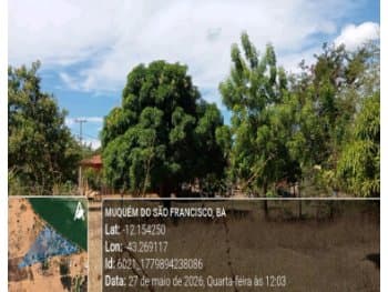 Area Rural em leilão em Muquém Do São Francisco - BA — Leilão extrajudicial de Área Rural em Muquém de São Francisco/BA - Zona Rural