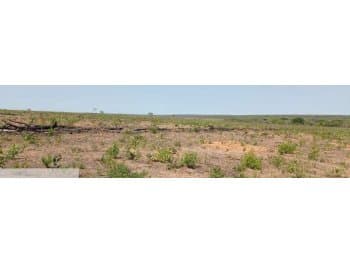 Area Rural em leilão em Baianópolis - BA, bairro Várzeas — Leilão extrajudicial de Área Rural em Baianópolis/BA - Distrito de Várzeas