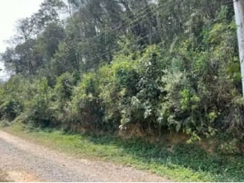 Terreno em leilão em Mairiporã - SP, bairro Pirucaia — Leilão judicial de Terrenos em Mairiporã/SP - Pirucaia