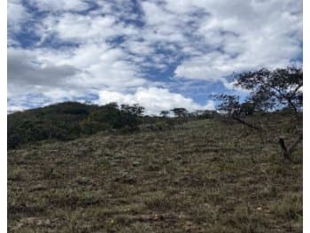 Area Rural em leilão em Rio Pardo De Minas - MG — Leilão extrajudicial de Área Rural em Rio Pardo de Minas/MG - Zona Rural