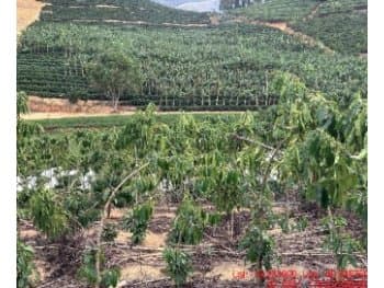Area Rural em leilão em Rio Bananal - ES — Leilão extrajudicial de Área Rural em Rio Bananal/ES - Zona Rural