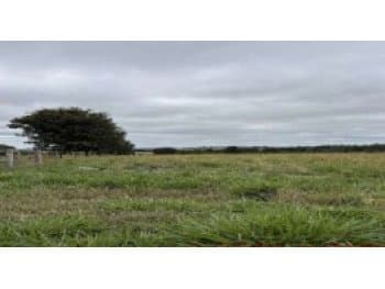 Area Rural em leilão em São José Do Rio Claro - MT — Leilão extrajudicial de Área Rural em São José do Rio Claro/MT - Expansão Urbana