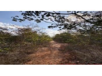 Area Rural em leilão em Rio Pardo De Minas - MG — Leilão extrajudicial de Fazenda em Rio Pardo de Minas/MG - Zona Rural