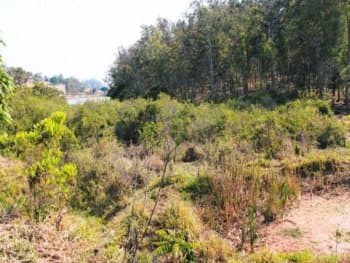 Area Rural em leilão em Monte Belo - MG — Leilão extrajudicial de Fazenda em Monte Belo/MG - Zona Rural