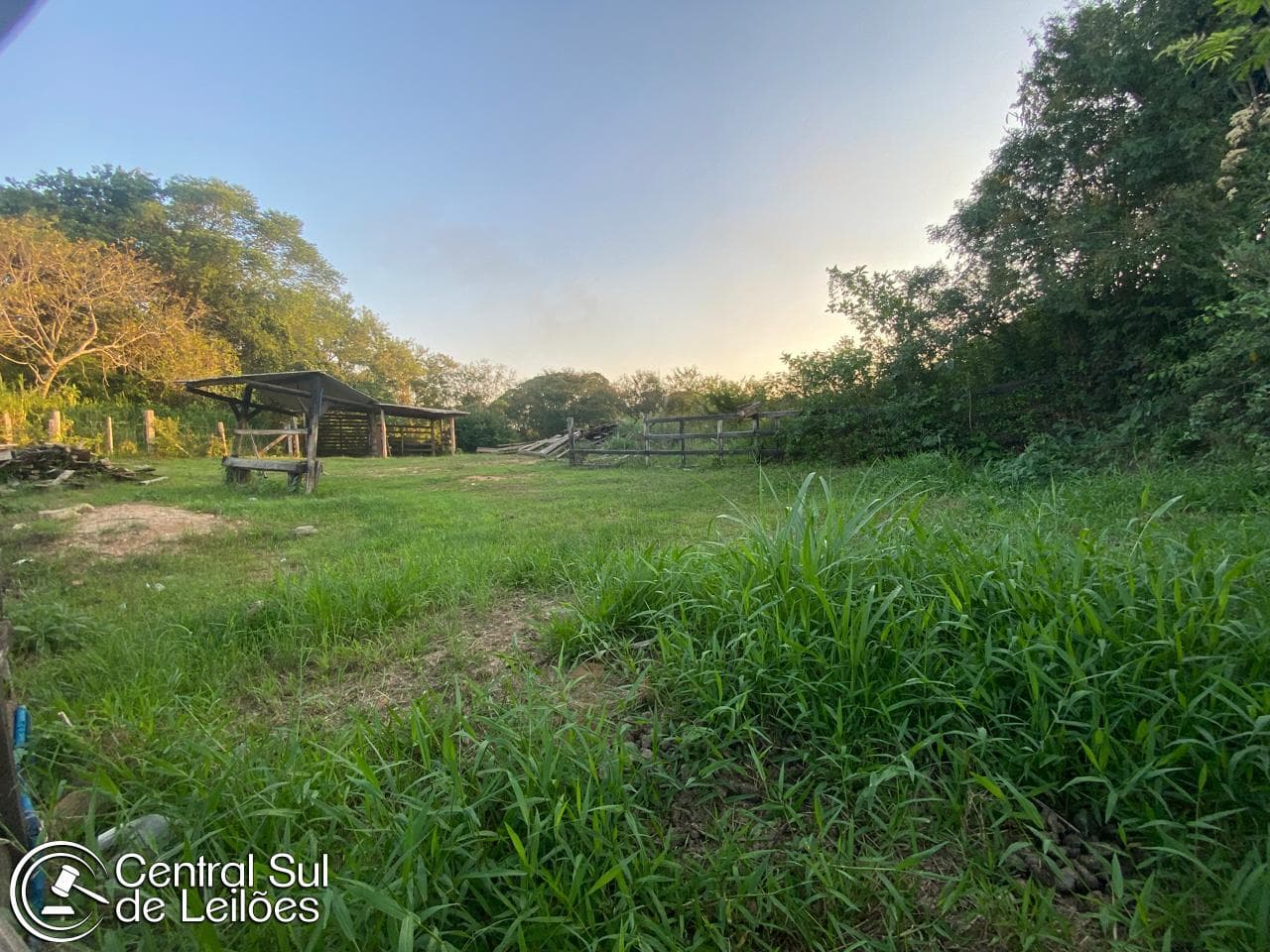 Foto 3 de 5: Terreno em leilão em Canelinha - SC — Terreno com área de 9.836,75m², no Município de Canelinha/SC