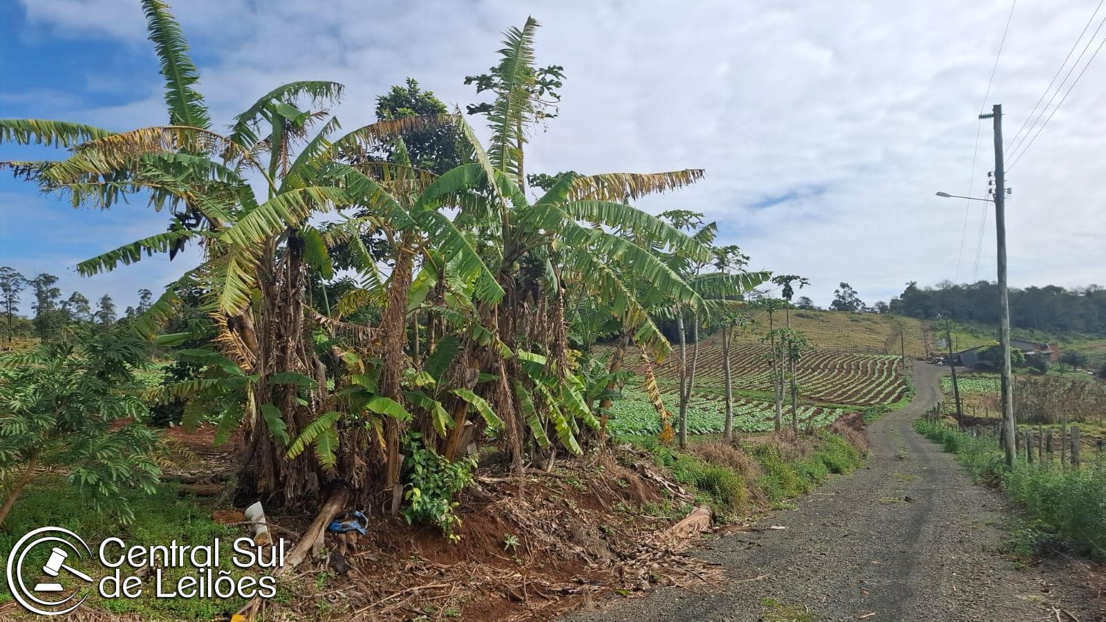 Foto 3 de 5: Terreno em leilão em Araranguá - SC — Terreno rural com área de 36.815,98m², na localidade de Pontão, no Município de Araranguá/SC