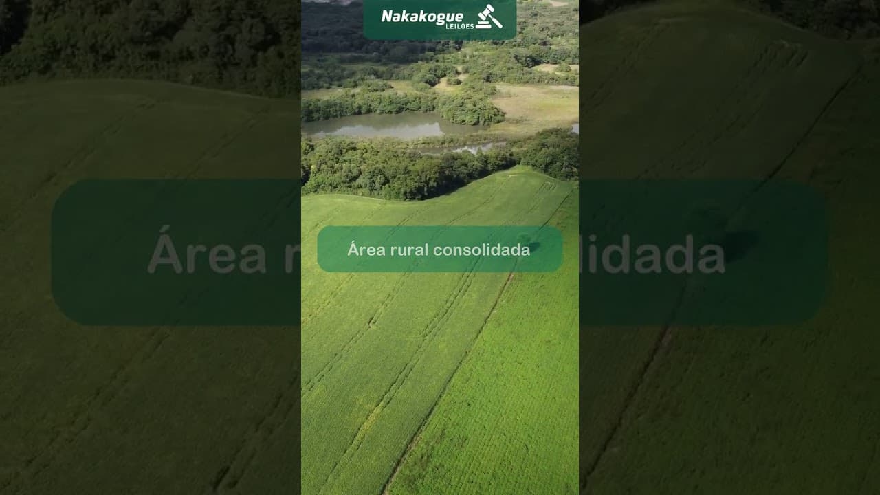 Foto 11 de 11: Area Rural em leilão em Araucária - PR — O TERRENO RURAL, SOB DENOMINACAO AREA B, COM 363.000,00M2 (TREZENTOS E SESSENTA E TRES MIL METROS QUADRADOS)