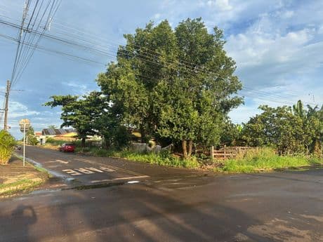 Foto 16 de 24: Terreno em leilão em Quirinópolis - GO — QUIRINOPOLIS/GO - TERRENO COM 1.791,00 M