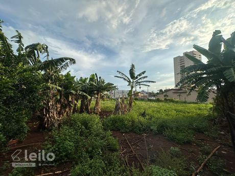 Foto 20 de 24: Terreno em leilão em Quirinópolis - GO — QUIRINOPOLIS/GO - TERRENO COM 1.791,00 M