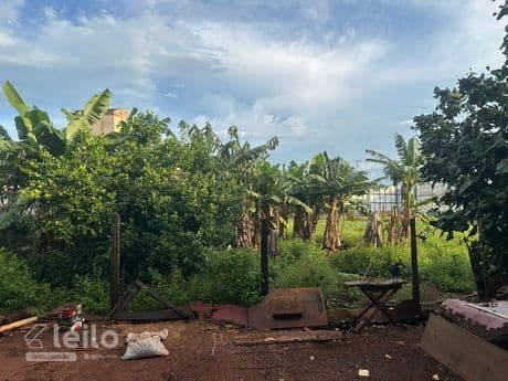 Foto 23 de 24: Terreno em leilão em Quirinópolis - GO — QUIRINOPOLIS/GO - TERRENO COM 1.791,00 M