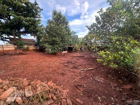 Foto 24 de 24: Terreno em leilão em Quirinópolis - GO — QUIRINOPOLIS/GO - TERRENO COM 1.791,00 M