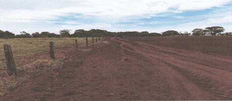 Foto 5 de 7: Area Rural em leilão em Piranhas - GO — Piranhas/GO - Imóvel rural com 60,06 há