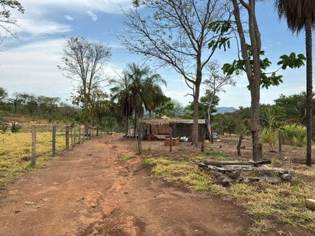 Foto 5 de 10: Area Rural em leilão em Piranhas - GO, bairro São Francisco — Piranhas/GO - Fazenda com 16,32 alqueires