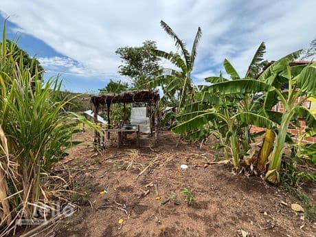 Foto 4 de 10: Area Rural em leilão em Piranhas - GO, bairro São Francisco — Piranhas/GO - Fazenda com 16,32 alqueires