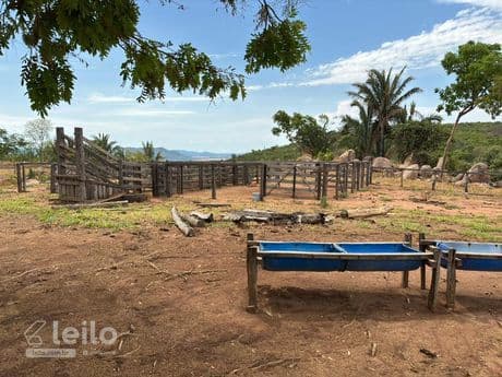 Foto 3 de 10: Area Rural em leilão em Piranhas - GO, bairro São Francisco — Piranhas/GO - Fazenda com 16,32 alqueires