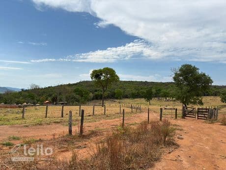 Foto 2 de 10: Area Rural em leilão em Piranhas - GO, bairro São Francisco — Piranhas/GO - Fazenda com 16,32 alqueires
