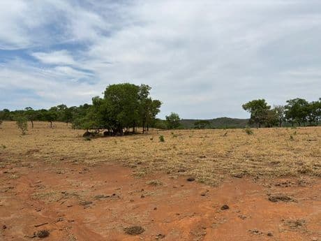 Foto 1 de 10: Area Rural em leilão em Piranhas - GO, bairro São Francisco — Piranhas/GO - Fazenda com 16,32 alqueires