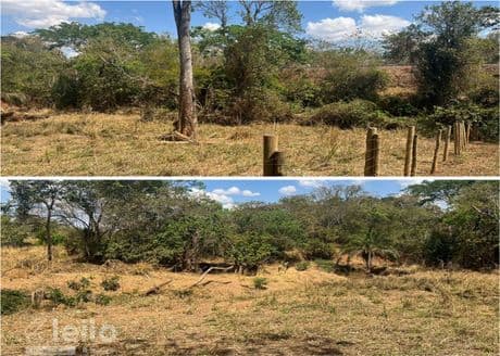 Foto 3 de 5: Area Rural em leilão em Petrolina De Goiás - GO — Petrolina de Goiás/GO - Imóvel rural com 0,58 alqueires
