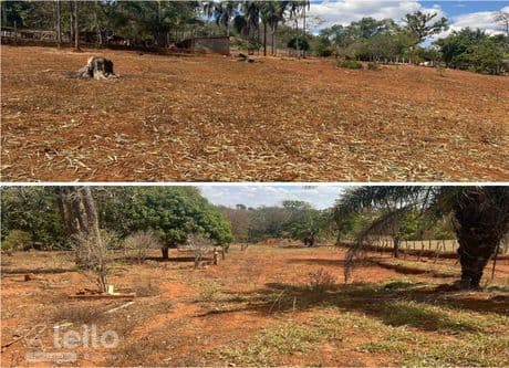 Foto 4 de 5: Area Rural em leilão em Petrolina De Goiás - GO — Petrolina de Goiás/GO - Imóvel rural com 0,58 alqueires
